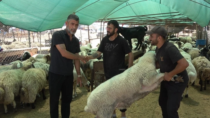 Mersin’de kurbanlık hayvan pazarlarında hareketlilik başladı

