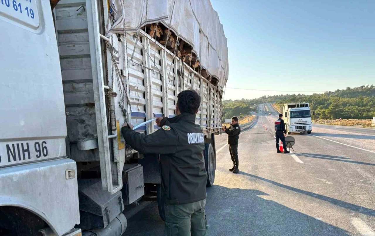 Mersin’de orman suçlarına karşı denetimler sürüyor
