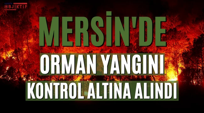 Mersin'de orman yangını kontrol altına alındı