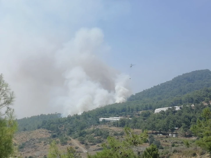 Mersin’de orman yangınına 2 uçak ve 5 helikopterle müdahale ediliyor
