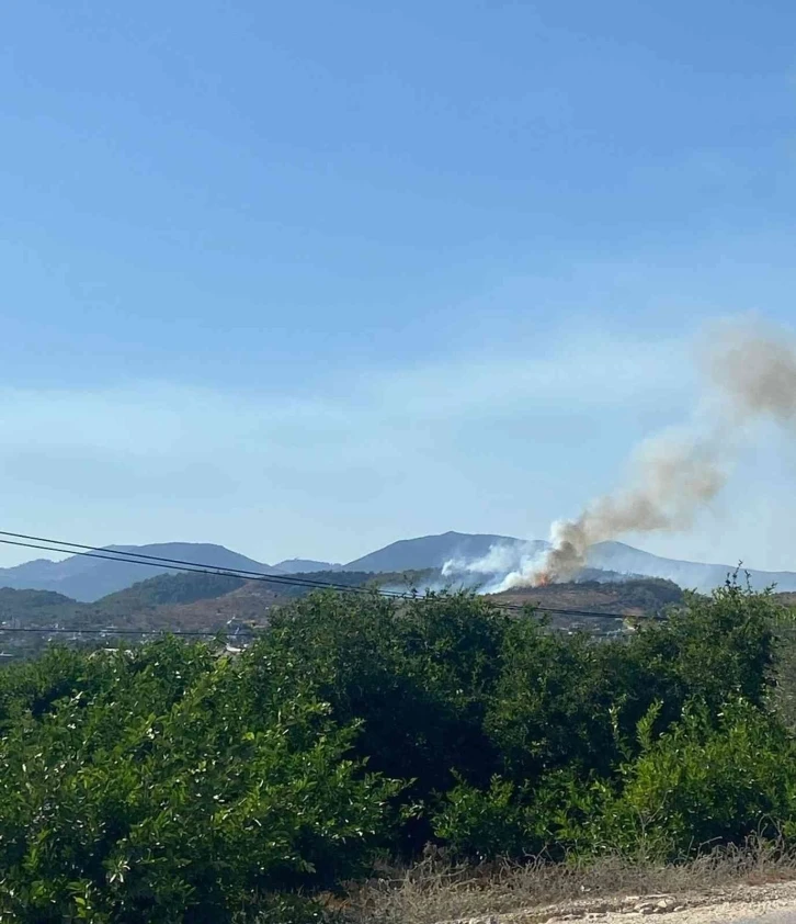 Mersin’de orman yangınına müdahale ediliyor
