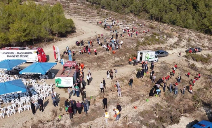 Mersin’de sazlı sözlü fidan dikimi
