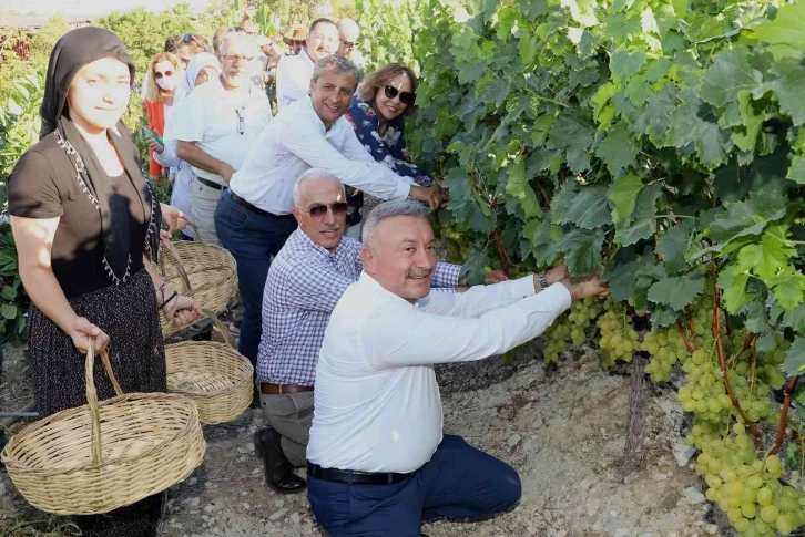 Mersin’de ’Üzüm Şenliği’ coşkusu
