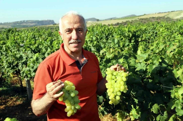 Mersin’de üzüm şenliği düzenleniyor
