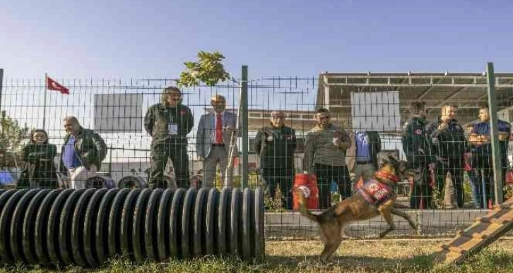 Mersin’de ’Köpekli Arama Kurtarma Çalıştayı’ sona erdi