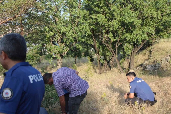 Mesire alanında kan donduran görüntü
