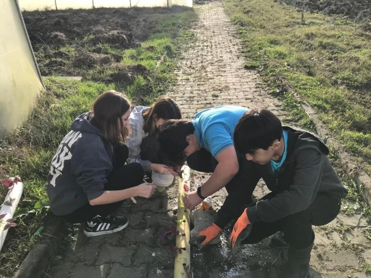 Meslek Lisesi topraksız tarım ile üretime başladı
