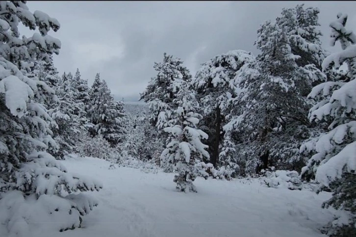 Meteoroloji'den 42 il için kar yağışı uyarısı