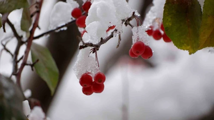 Meteorolojiden fırtına uyarısı
