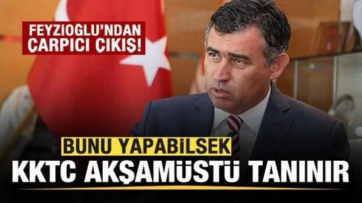 Metin Feyzioğlu: Bunu yapabilsek KKTC akşamüstü tanınır