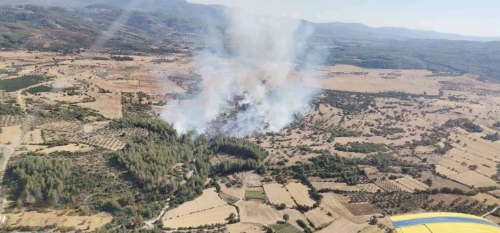 Milas’ta 4 hektarlık alan zarar gördü
