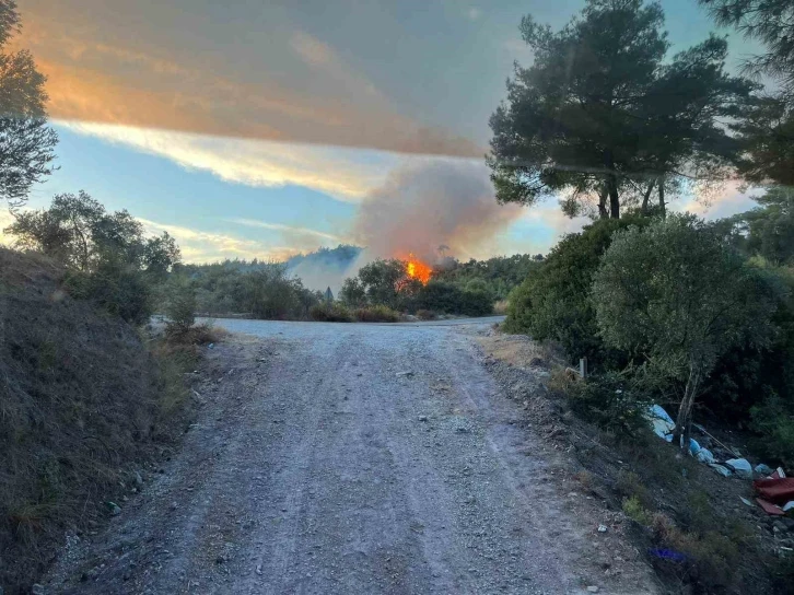 Milas’taki orman yangını söndürüldü
