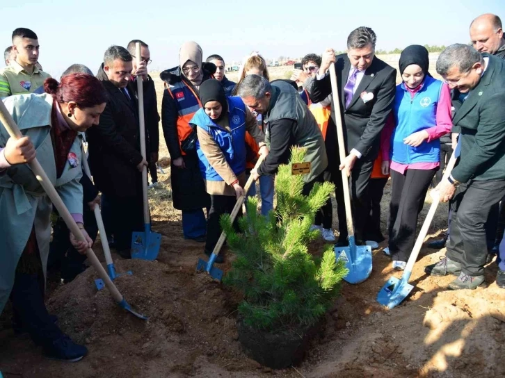 Milli Ağaçlandırma Günü’nde toprak fidanlarla buluştu
