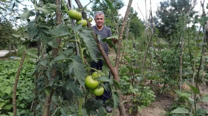 Milyonluk binaların arasına hobi bahçesi kurdu, kışlık ihtiyacını karşılıyor
