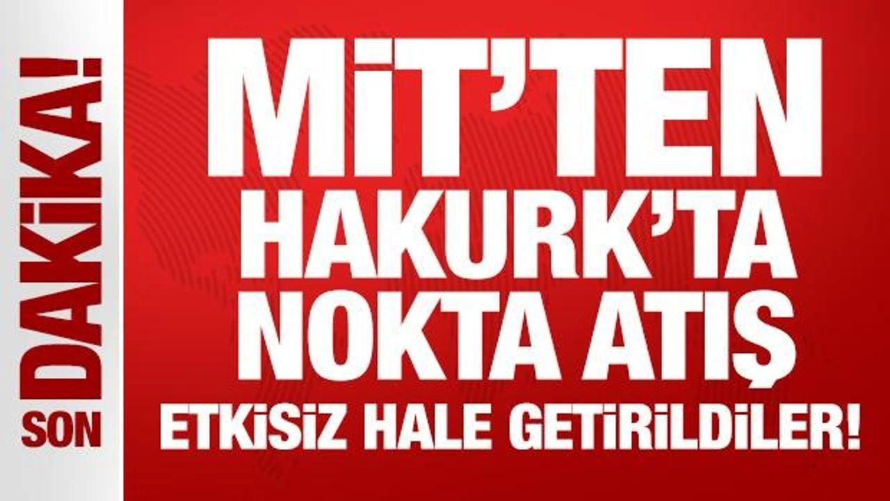 MİT, Zeynep Aslan ve Zeliha Mahçup’u etkisiz hale getirdi