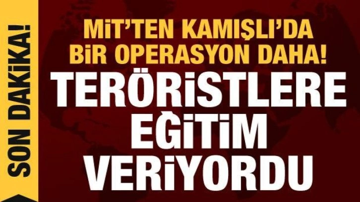 MİT'ten Kamışlı'da bir operasyon daha