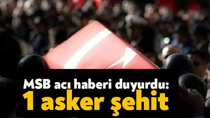 MSB acı haberi duyurdu! 1 asker şehit oldu