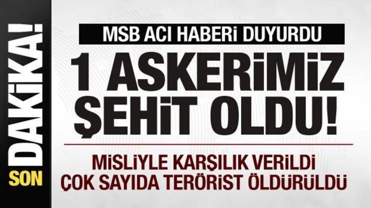 MSB acı haberi duyurdu! 1 askerimiz şehit oldu