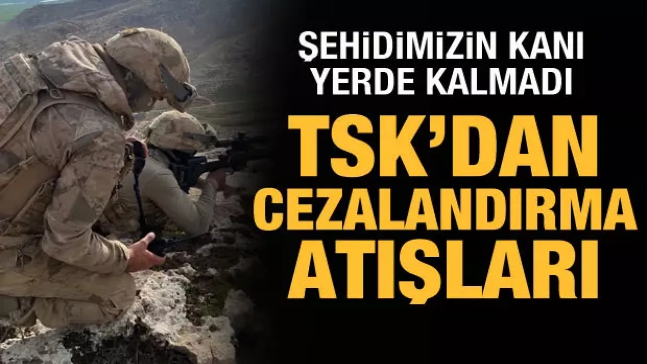 MSB: Etkisiz hale getirilen terörist sayısı 52'ye yükseldi