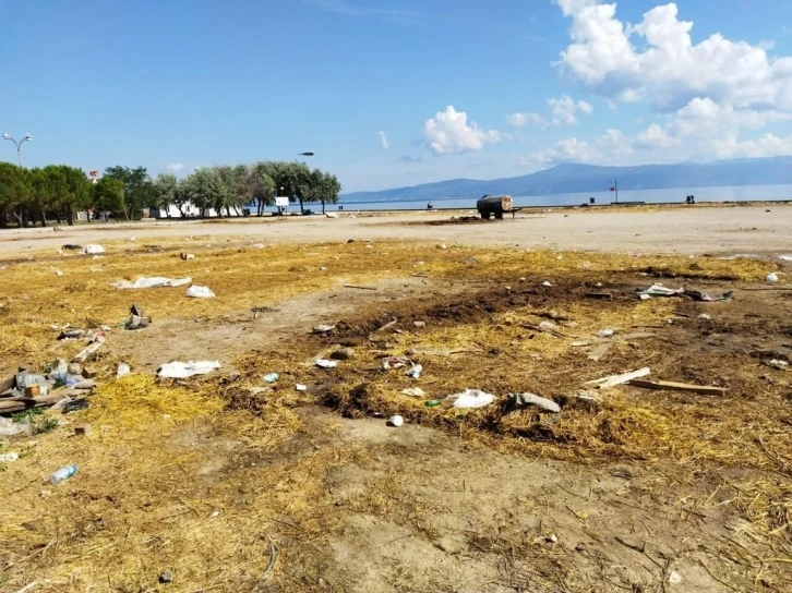 Mudanya’da karasineğin sebebi belli oldu
