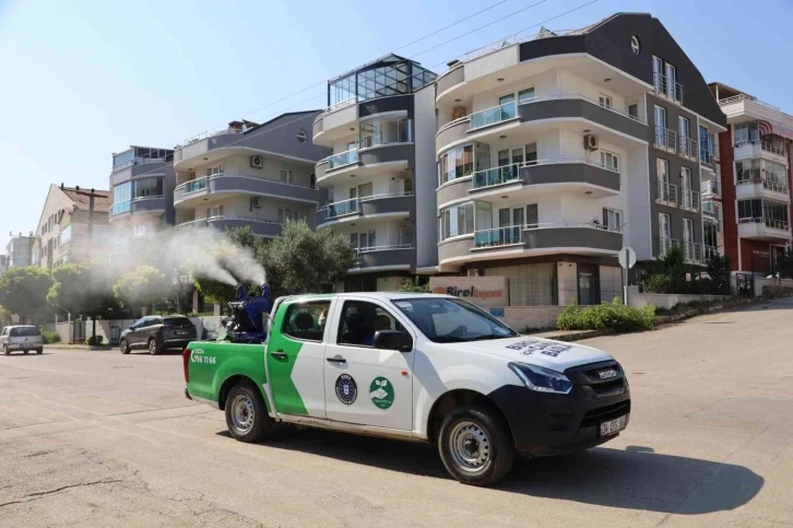 Mudanya’da sinekle mücadele
