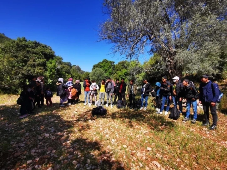 Muğla’da 55 düzensiz göçmen yakalandı
