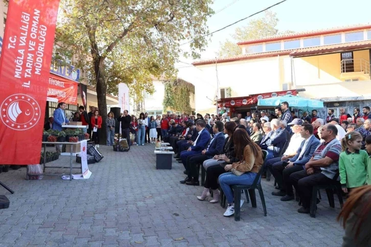 Muğla’da ’Çilek Projesi’ büyümeye devam ediyor
