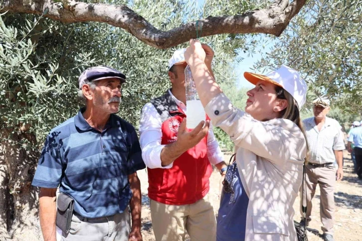 Muğla’da iyi tarım uygulamaları çalışmaları yapılıyor
