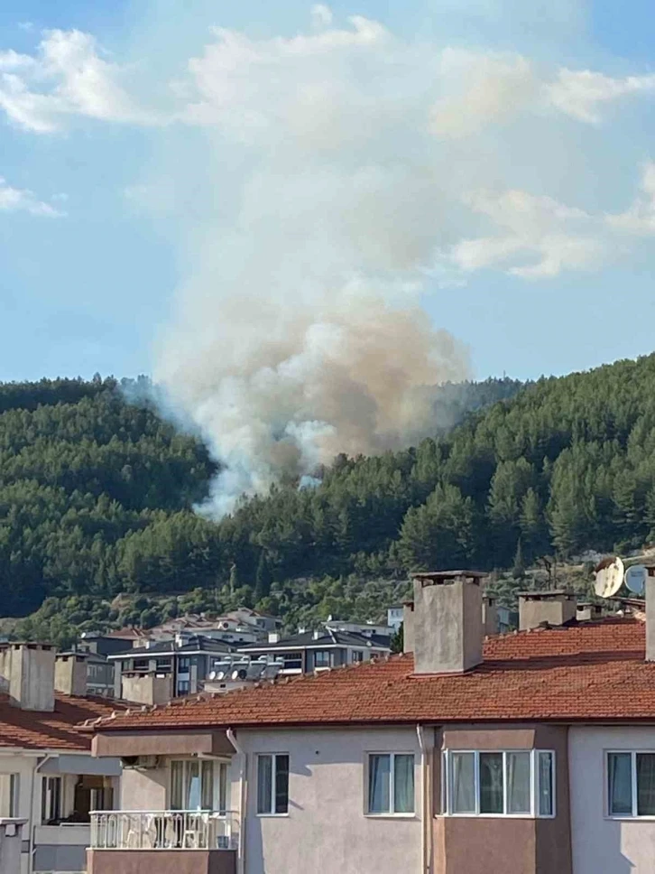 Muğla’da orman yangını
