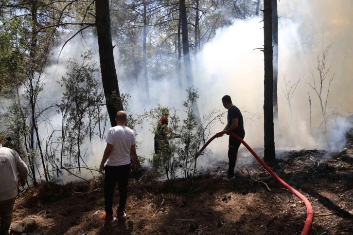 Muğla’da orman yangını
