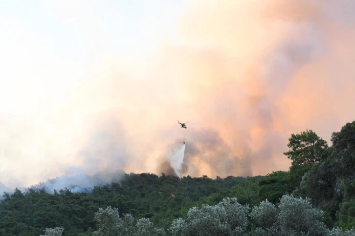 Muğla’daki yangında 50 hektar alan zarar gördü
