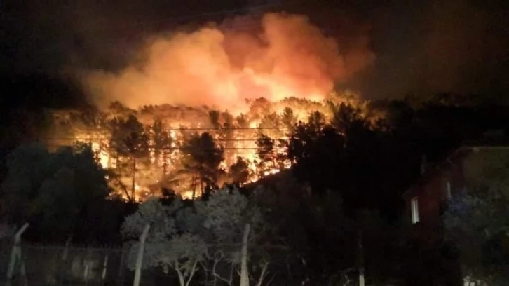 Muğla’nın Ula ilçesinde orman yangını
