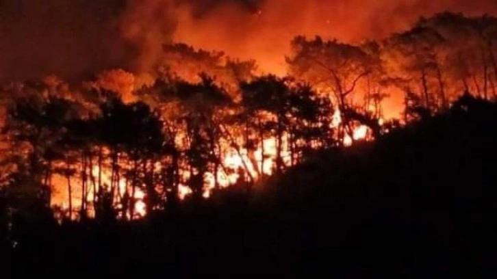 Muğla'nın Ula ilçesinde orman yangını