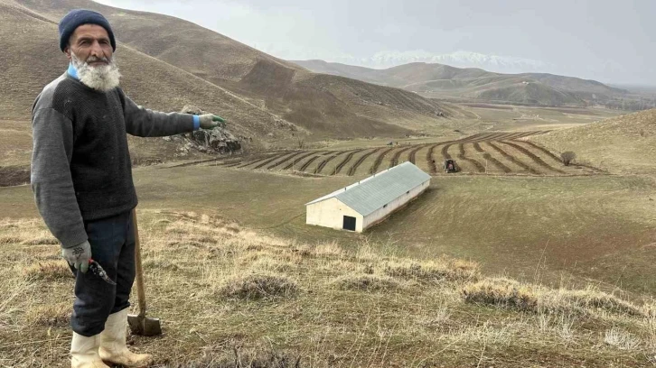 Muhyettin amca 40 yıllık hayalini gerçekleştirdi: 15 dönümlük arazisine 500 meyve fidanı dikti
