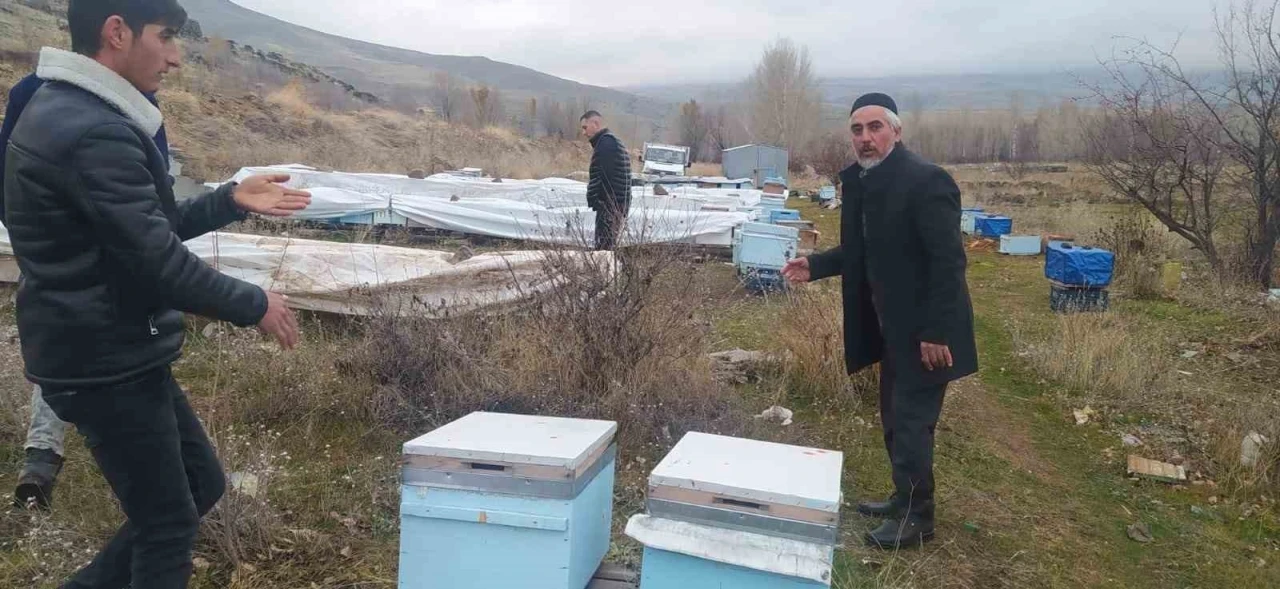 Muradiye’de ayılar kovanlara ve kümes hayvanlarına saldırdı
