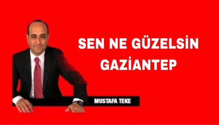 Mustafa Teke Yazdı.. Sen Ne Güzelsin Gaziantep 