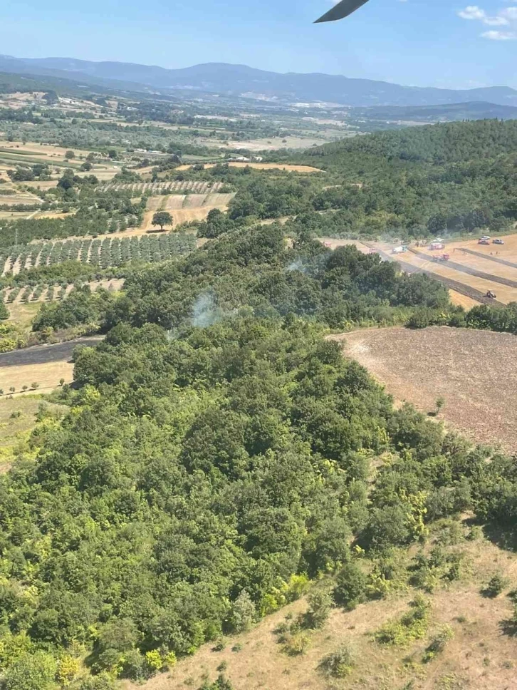 Mustafakemalpaşa’da orman yangını
