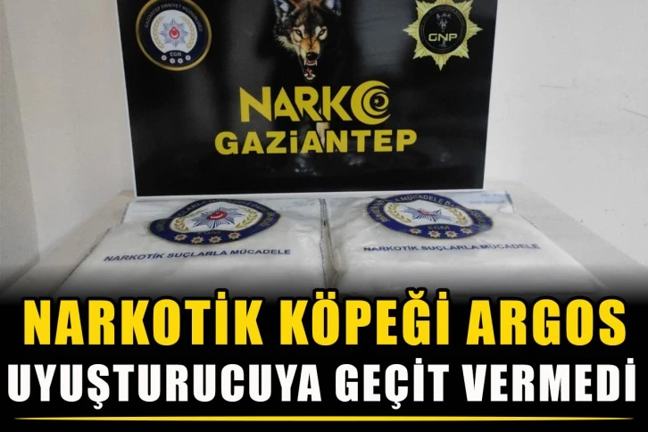 Narkotik köpeği Argos uyuşturucuya geçit vermedi