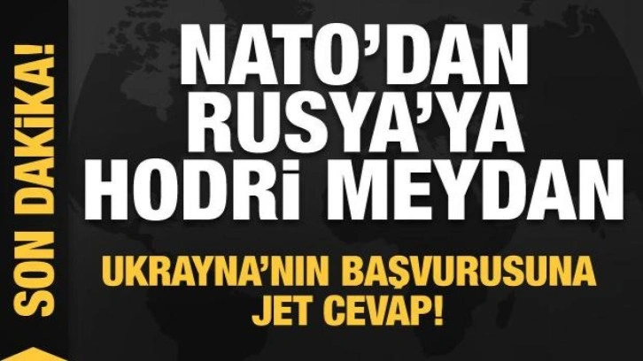 NATO'dan Rusya'ya rest! Ukrayna açıklaması: Kararı 30 ülke verecek