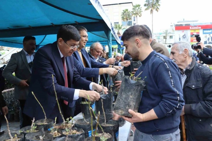 Nazilli Belediyesi, Çiftçilere 20 Bin İncir Fidanı Dağıttı