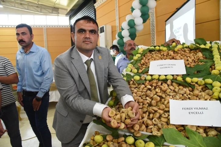 Nazilli’de sezonun ilk kuru inciri kilosu 400 TL’den satıldı
