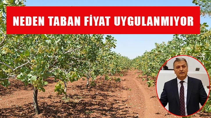 Neden taban fiyat uygulanmıyor?