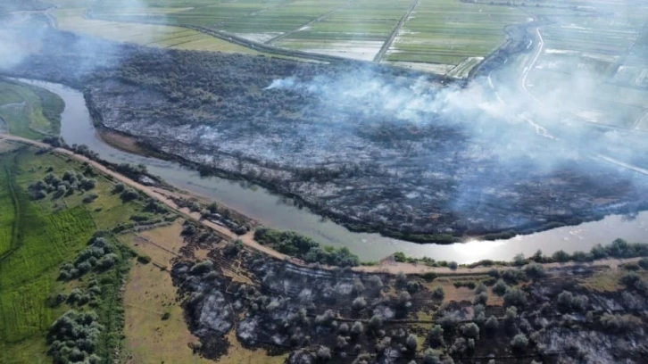 Nehir yatağındaki yangınında 700 dönüm alan zarar gördü
