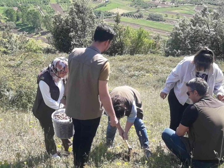 Nesli tehlikede olan salep soğanı toplayıcılarına büyük ceza
