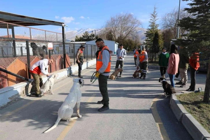 Niğde’de tehlikeli köpeklere uyum eğitimi veriliyor
