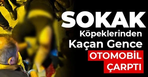 Nizip’te Sokak Köpeklerinden Kaçan Gence Otomobil Çarptı  