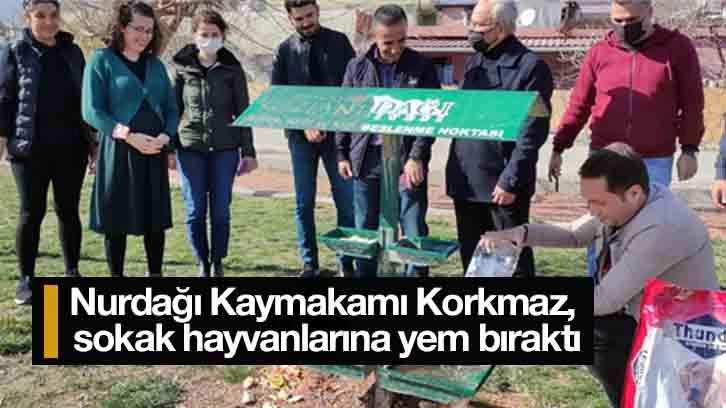 Nurdağı Kaymakamı Korkmaz, sokak hayvanlarına yem bıraktı