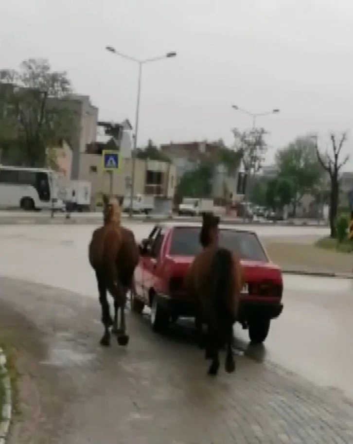 O sürücüye ceza yağdı
