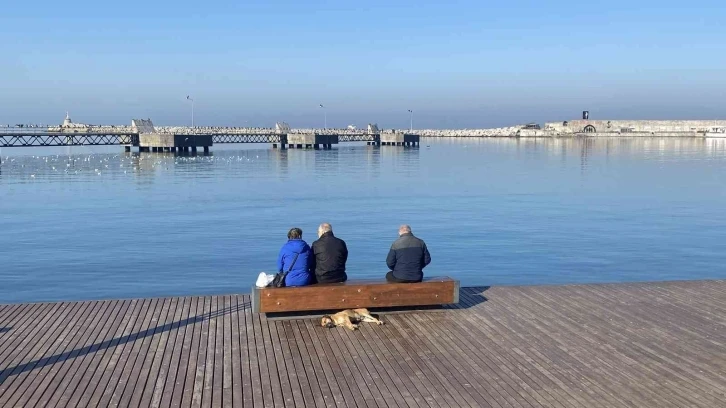 Ocak’ta yazda kalma havayı yaşadılar
