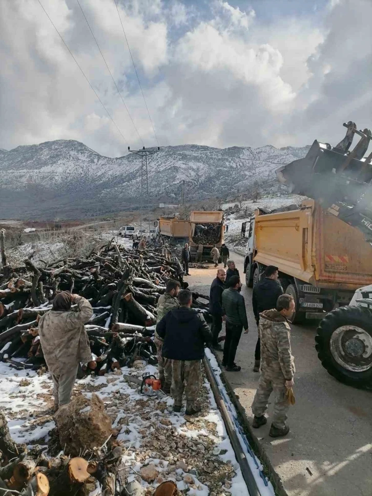 OGM’den deprem bölgesine yakacak odun yardımı
